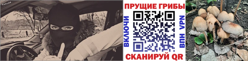 Псилоцибиновые грибы GOLDEN TEACHER  blacksprut онион  Ува 